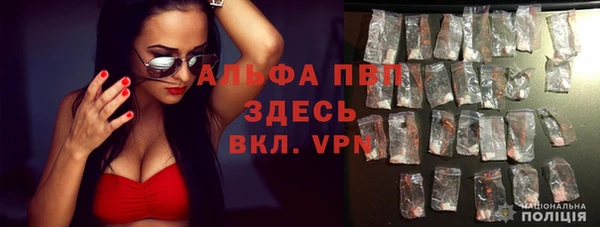гашик Магас