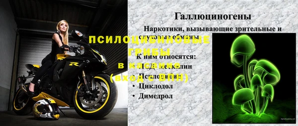 гашик Магас